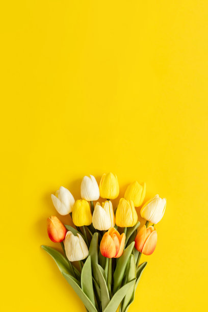 郁金香花束。黄色背景上的郁金香背景素材。图片下载