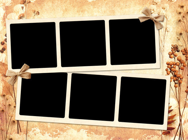 怀旧的剪贴簿横幅，带有情绪板图片相册网格，适合剪贴簿使用。复古背景，纸张纹理，干压叶子，花朵和相框照片。复古风格的情绪板布局。图片下载