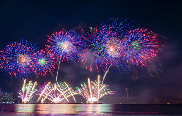 夜空中绚丽多彩的烟花。照片拍摄于韩国釜山。图片下载