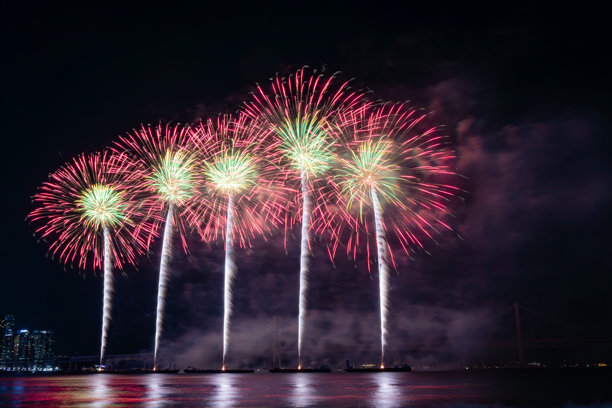 夜空中绚丽多彩的烟花。照片拍摄于韩国釜山。图片下载