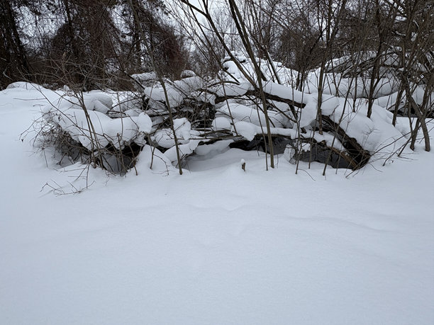 雪景风光照片图片下载