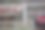 狗和马在一起的搞笑照片图片下载