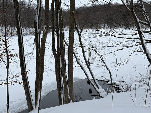 雪景风光照片图片下载