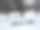 雪景风光照片图片下载