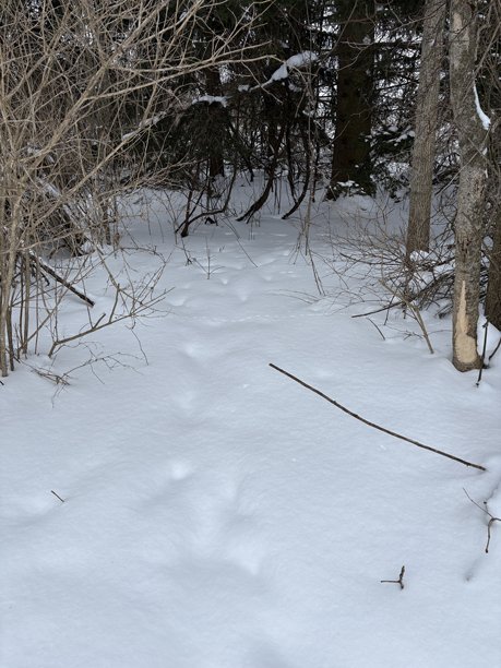 雪景风光照片图片下载