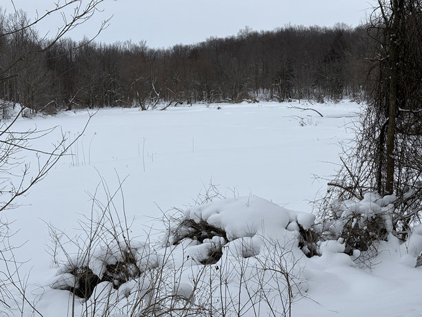 雪景风光照片图片下载
