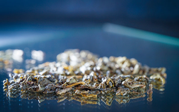 生绿茶叶的概念照片图片下载