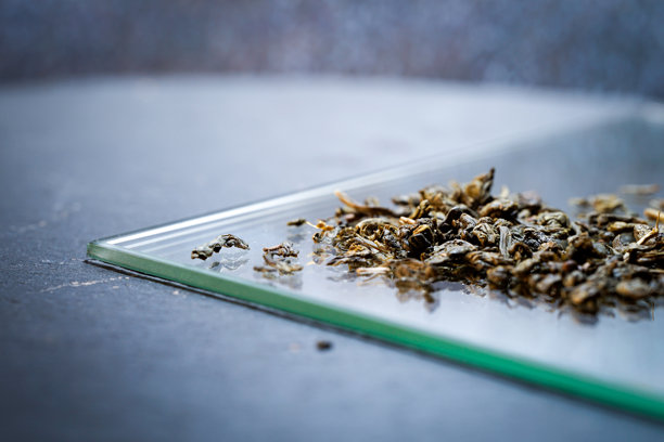 生绿茶叶的概念照片图片下载