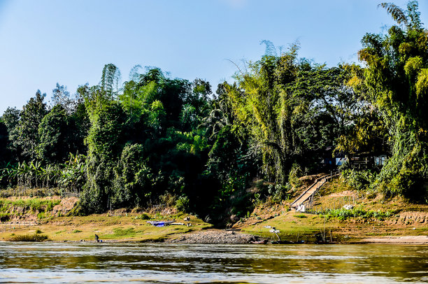 森林中的河流，数字照片作为背景图片下载