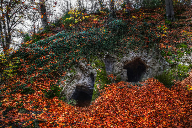 德国哈茨山脉的沃尔克马斯凯勒山洞被树叶覆盖的入口图片下载