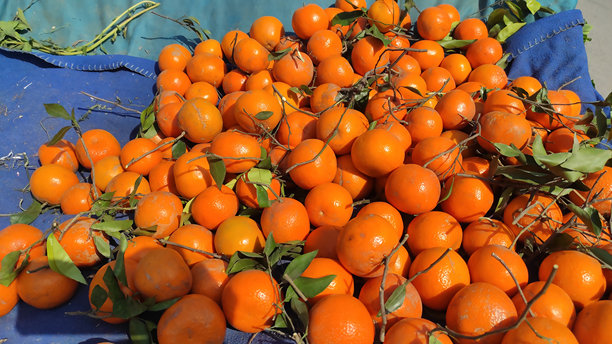 新鲜多汁的橙子在露天市场出售的全景照片图片下载