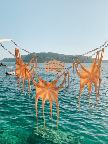 在希腊圣托里尼的阿穆迪湾，晒干的新鲜章鱼的真实照片。图片下载