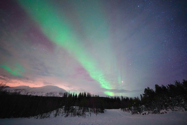 令人惊叹的北极光（极光）在挪威的天空中翩翩起舞的照片。图片下载