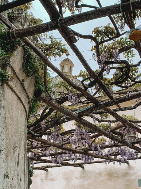 美丽的照片，展示了意大利波西塔诺阳台上悬挂的鲜艳紫色花朵，背景是标志性的教堂圆顶。图片下载