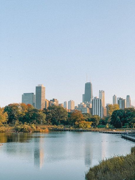 令人惊叹的芝加哥天际线照片，展示了城市标志性的摩天大楼与晴朗的蓝天相映成趣。图片下载