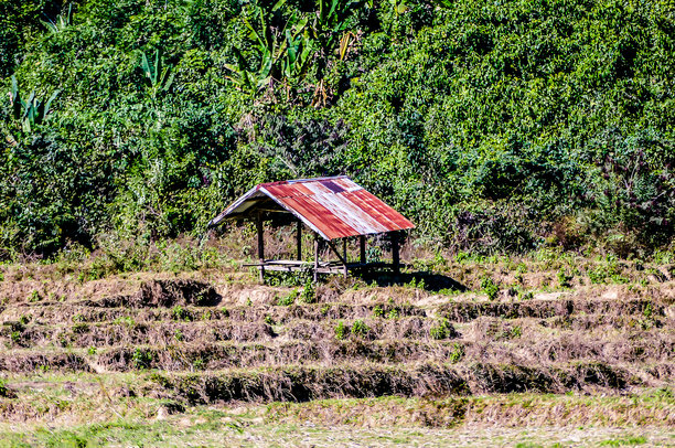 乡村中的老房子，数字照片作为背景图片下载