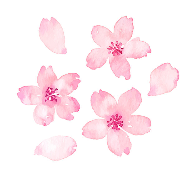 水彩樱花矢量素材图片下载