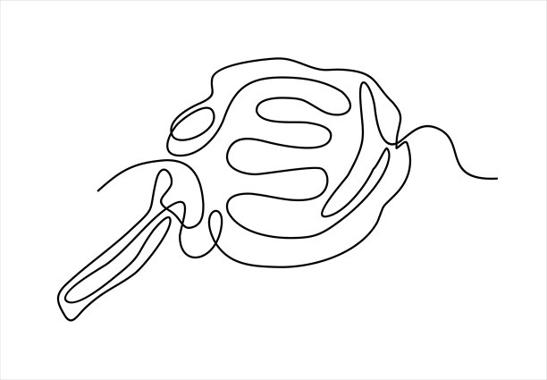 牛排连续线条画。单线艺术表现小牛肉、猪肉、牛肉、带骨肉。图片下载