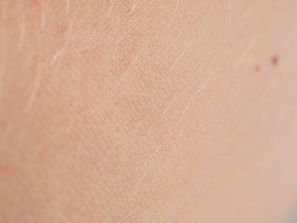 一张展示人类皮肤纹理、色调和自然特征的照片，突显其独特性和弹性。图片下载