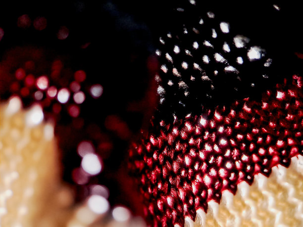 钩织面料，白色、酒红色和黑色纱线交织出迷人的效果。这张照片突显了复杂的纹理。图片下载