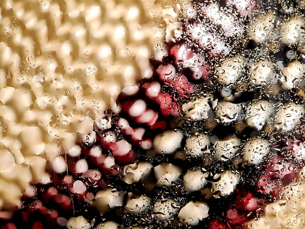 钩织面料，白色、酒红色和黑色纱线交织出迷人的效果。这张照片突显了复杂的纹理。图片下载