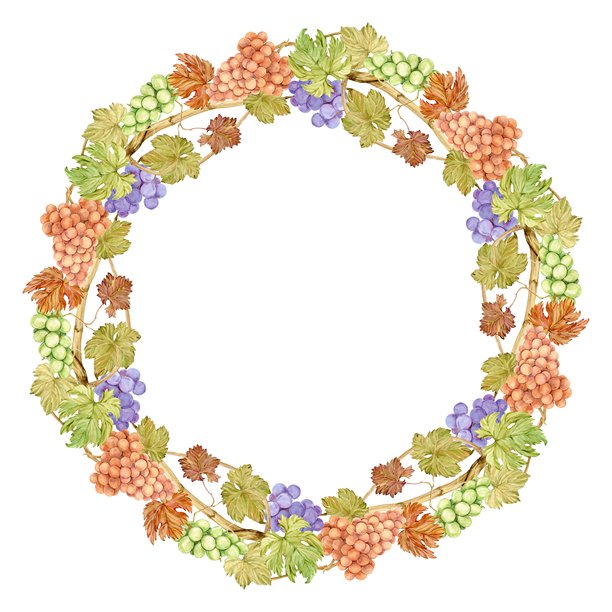 水彩葡萄藤花环，带有蓝色和绿色的浆果。圆形的浆果和叶子框架。适合乡村婚礼装饰的秋季设计。红酒、果汁的标签。餐厅菜单的剪贴画。图片下载