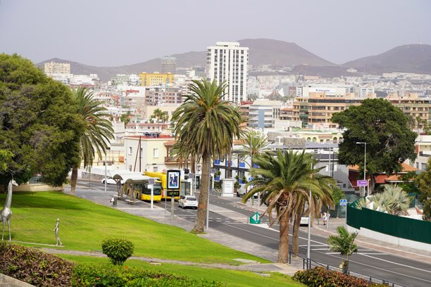 拉斯帕尔马斯街道，加纳利群岛。拉斯帕尔马斯街道的各种照片。一座有棕榈树的城市。图片下载