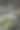 阴郁森林中的野生动物背景，倒下的老树上长满了木耳和苔藓。火绒菌（Fomes fomentarius）是一种常见的生长在树干上的蘑菇特写。森林自然图片图片下载