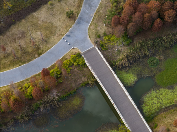 湖边红杉树公园的航拍照片图片下载