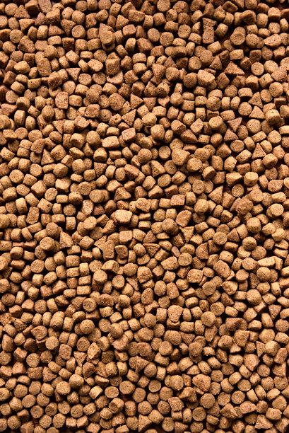 干宠物食品背景。堆积的颗粒动物饲料。适合狗和猫的优质营养颗粒。竖版图片图片下载
