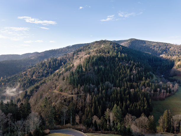 秋季的黑森林，俯瞰树木与山谷的景色，航拍照片图片下载