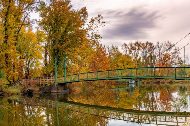秋天，秋天，纽约伊萨卡州卡尤加湖南端斯图尔特公园的绿色悬索桥与树木和树叶的照片。图片下载