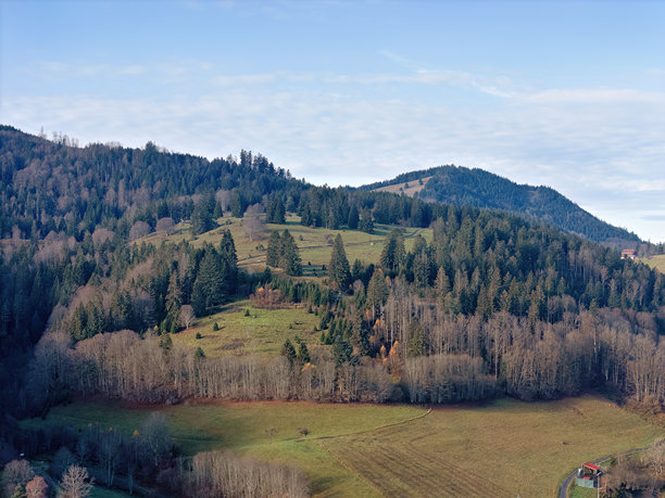 秋季的黑森林，俯瞰树木与山谷的景色，航拍照片图片下载