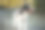 黑白色的西班牙猎犬开心地叼着它最喜欢的玩具 - 股票照片图片下载