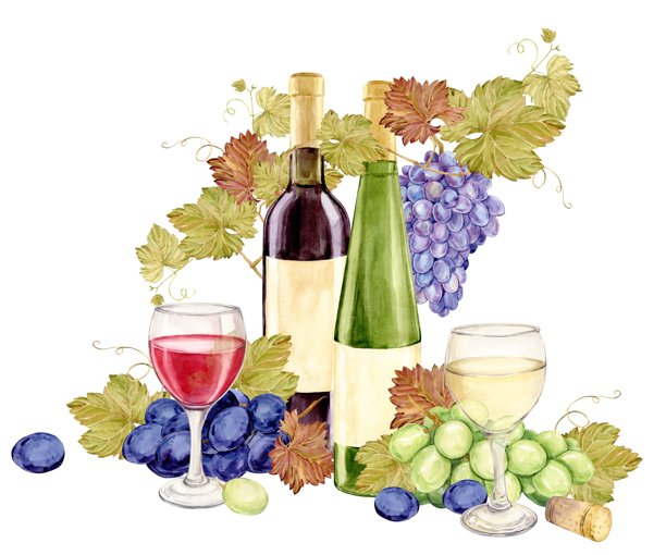 酒瓶与葡萄藤的组合。红酒和白酒在酒杯中。绿色和蓝色的葡萄放在桌子上。餐厅菜单和酒单的水彩插图。图片下载