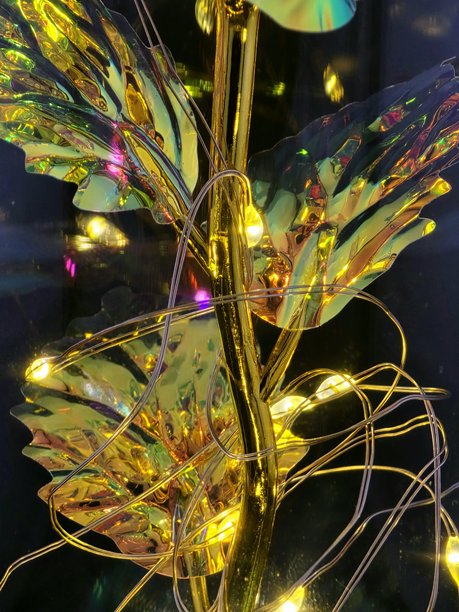 照片展示了一朵被玻璃包裹的金色玫瑰。图片下载