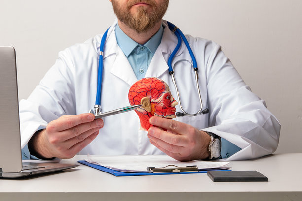 医生的手握着笔，指向人头模型的颈椎。颈部疼痛、僵硬的概念，带有红点。关节炎、神经受压、拉伤。高质量照片图片下载