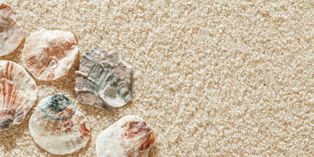 米色沙滩上的极简美学贝壳图案，自然海洋和夏季质感的横幅，夏季放松，俯视照片中有精致的柔和色彩贝壳，休闲海滩主题壁纸图片下载