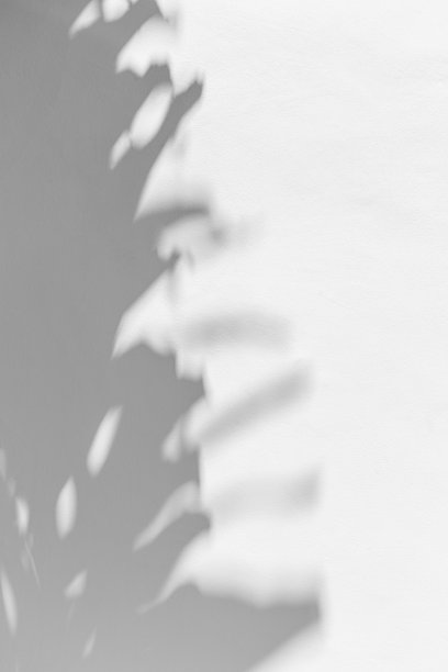 夏季白色背景，俯视棕榈叶在白色墙壁上的阳光影子。夏季美学照片，淡色调，留白空间，度假与放松的概念。抽象视角。图片下载