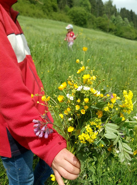 一片开着黄色野花的空地，绿色的山坡，远处玩耍的孩子，春天和初夏。照片。图片下载