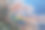 水下照片：一条黄色喇叭鱼藏在软珊瑚中图片下载
