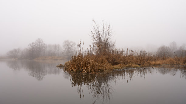 宁静朦胧的自然风景。小岛上有干枯的芦苇和光秃的树木，静谧的水面上倒映着背景中的雾气，湿润的天气中显得格外美丽。19x9格式的横向照片。图片下载