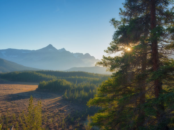 山中的日出。雾气和森林。阳光透过树木。令人难以置信的山谷景色。适合用作背景、壁纸或明信片的照片。图片下载
