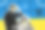 年轻男性戴眼镜微笑的自由职业者在涂鸦背景下玩井字棋，使用笔记本电脑上网浏览的合成照片拼贴。图片下载