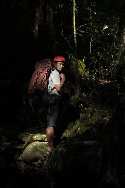 一个背着背包在森林中行走的男人-库存照片图片下载