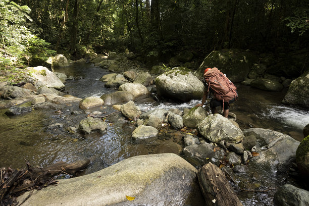 一名男子正在准备设备，准备前往森林旅行-库存照片图片下载