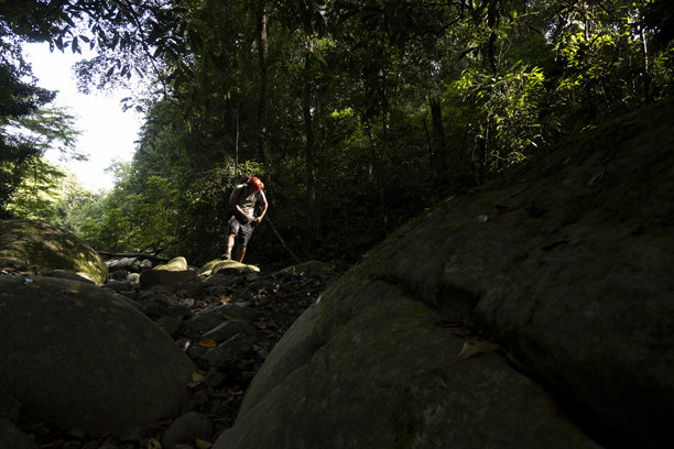一名男子正在准备设备，准备进入森林旅行-库存照片图片下载