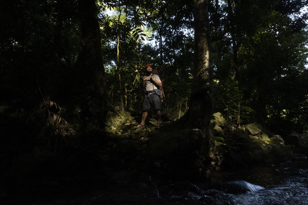 一个背着背包在森林中行走的男人-库存照片图片下载