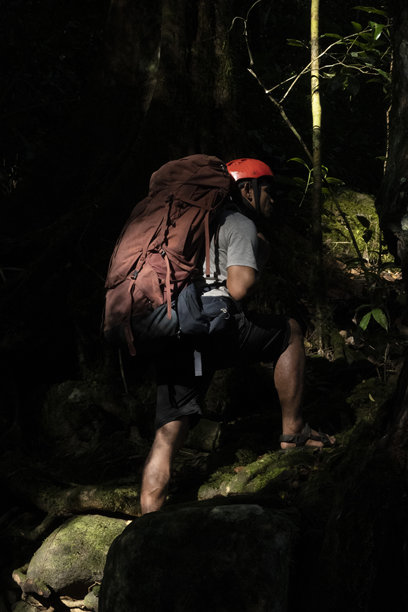 一个背着背包在森林中行走的男人-库存照片图片下载