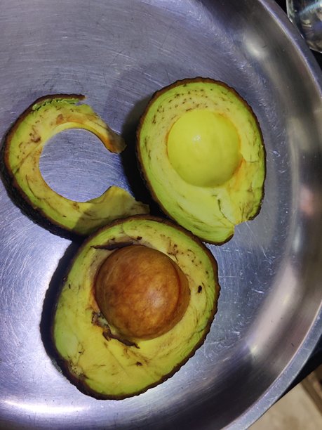 厨房里的鳄梨水果 - 股票照片图片下载
